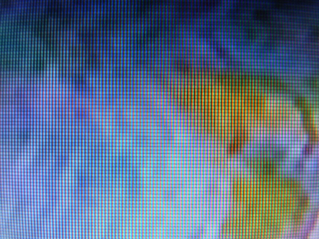 rimg0521