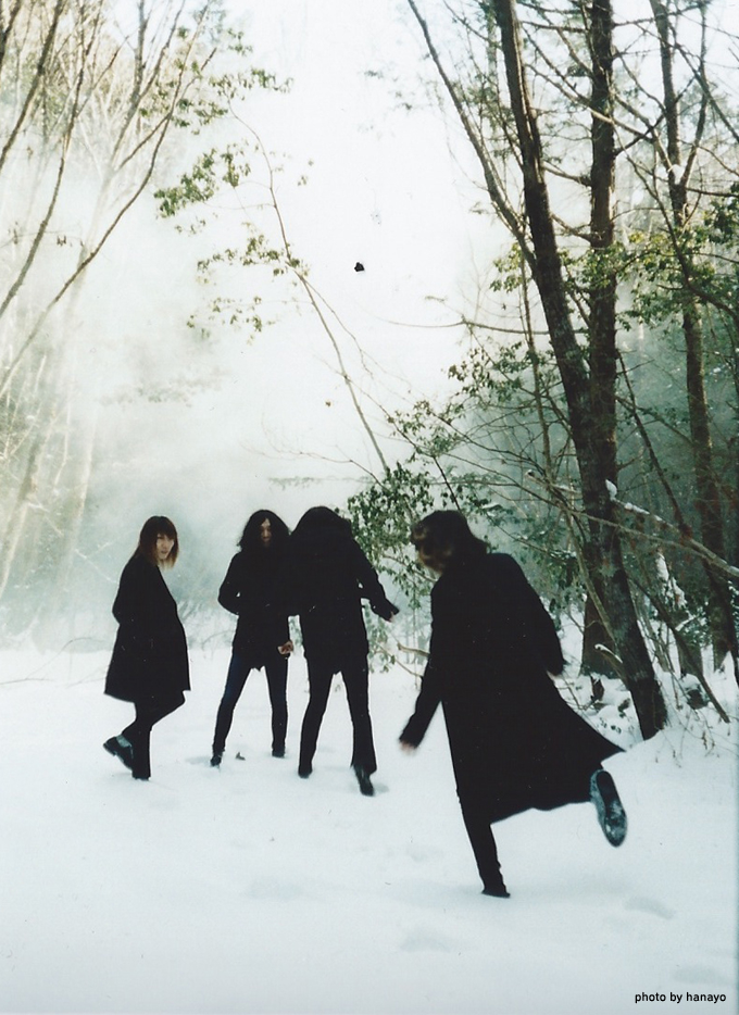 the novembers